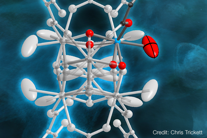 ORNL’s Top 10 neutron scattering achievements of 2019