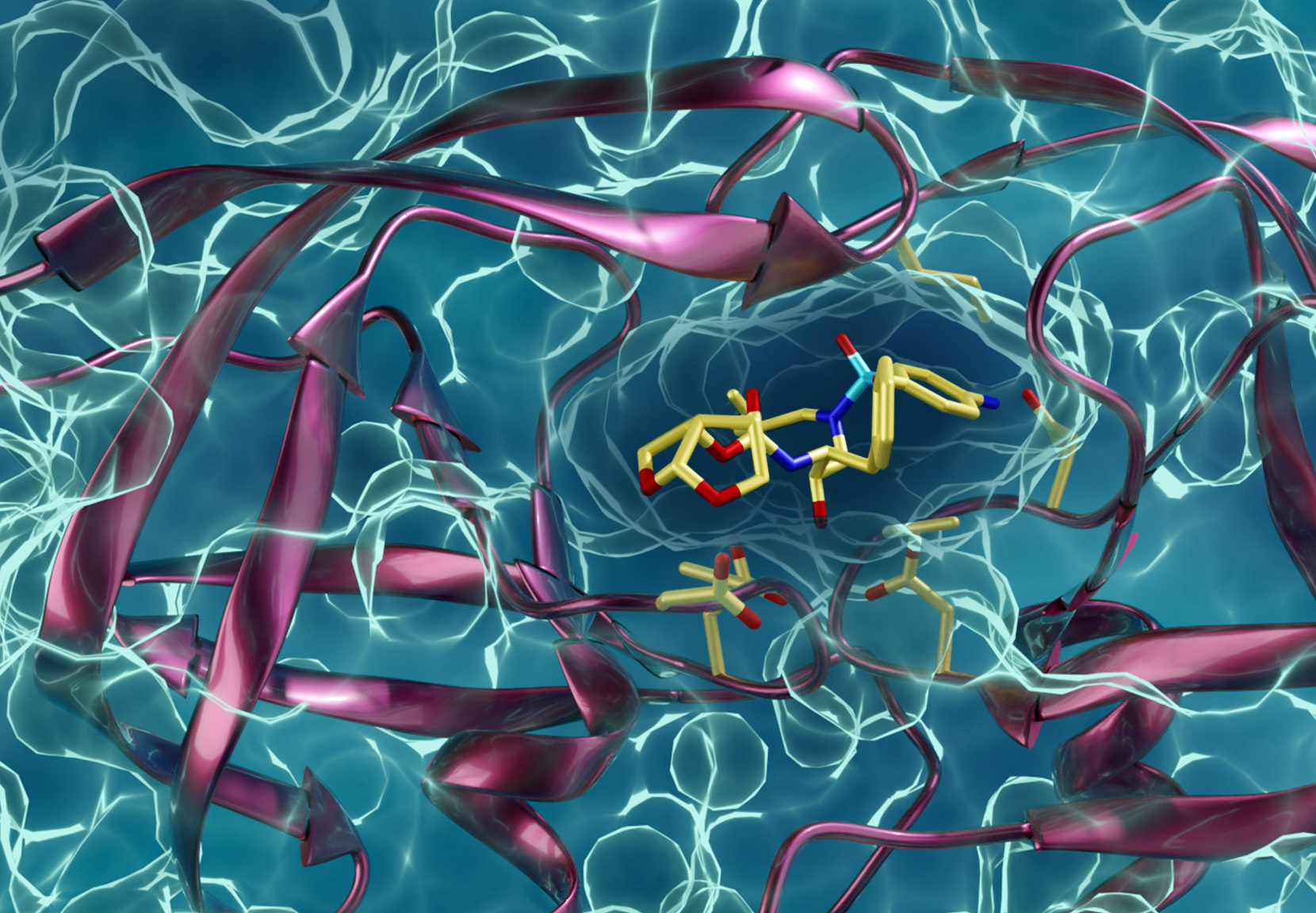 A drug-resistant type of HIV protease interacting with an HIV protease inhibitor. Kneller and Kovalevsky hope the same techniques they’ve used to learn more about HIV will also help fellow researchers battle COVID-19. (credit: ORNL/Jill Hemman)
