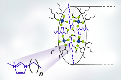 Biology and soft matter