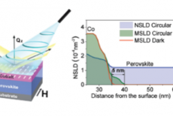 Optically Induced Magnetization in Metal Halide Perovskite
