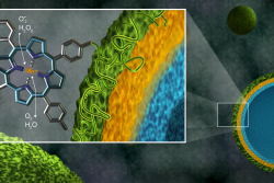 Shown as green spheres, microcapsules containing the polymer manganoporphyrin, a newly developed antioxidant (green), the natural antioxidant tannic acid (yellow), and a binding material (blue), can be analyzed for stability and efficiency with neutrons. Measuring the thickness of the capsule shells in the presence of oxidants could help researchers adapt this polymer for a host of biomedical applications. (Image credit: ORNL/Jill Hemman)