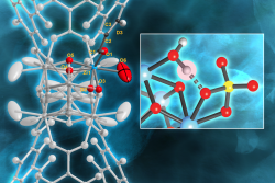 (left) Neutrons revealed which Brønsted acid site in MOF-808-SO4 is primarily responsible for the MOF’s ability to efficiently convert base substances like petroleum into other chemicals. (right) They also revealed the hydrogen bonds that form when the MOF is well hydrated and that are strongly correlated with the MOF’s excellent catalytic performance. (zirconium–blue, oxygen–red, carbon–light gray, sulfur–yellow). Credit: Chris Trickett, UC Berkeley and Jill Hemman, ORNL