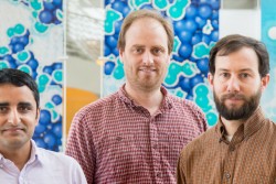 ORNL researchers have discovered a new type of quantum critical point, a new way in which materials change from one state of matter to another. Featured here are researchers Lekh Poudel (left), Andrew Christianson and Andrew May. (Image credit: ORNL/Genevieve Martin)