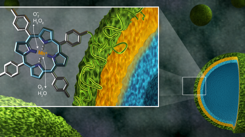 Shown as green spheres, microcapsules containing the polymer manganoporphyrin, a newly developed antioxidant (green), the natural antioxidant tannic acid (yellow), and a binding material (blue), can be analyzed for stability and efficiency with neutrons. Measuring the thickness of the capsule shells in the presence of oxidants could help researchers adapt this polymer for a host of biomedical applications. (Image credit: ORNL/Jill Hemman)