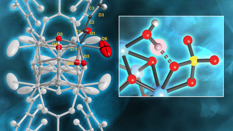 (left) Neutrons revealed which Brønsted acid site in MOF-808-SO4 is primarily responsible for the MOF’s ability to efficiently convert base substances like petroleum into other chemicals. (right) They also revealed the hydrogen bonds that form when the MOF is well hydrated and that are strongly correlated with the MOF’s excellent catalytic performance. (zirconium–blue, oxygen–red, carbon–light gray, sulfur–yellow). Credit: Chris Trickett, UC Berkeley and Jill Hemman, ORNL