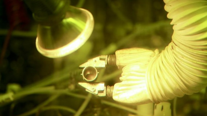 By producing 50 grams of plutonium-238, Oak Ridge National Laboratory researchers have demonstrated the nation’s ability to provide a valuable energy source for deep space missions.
