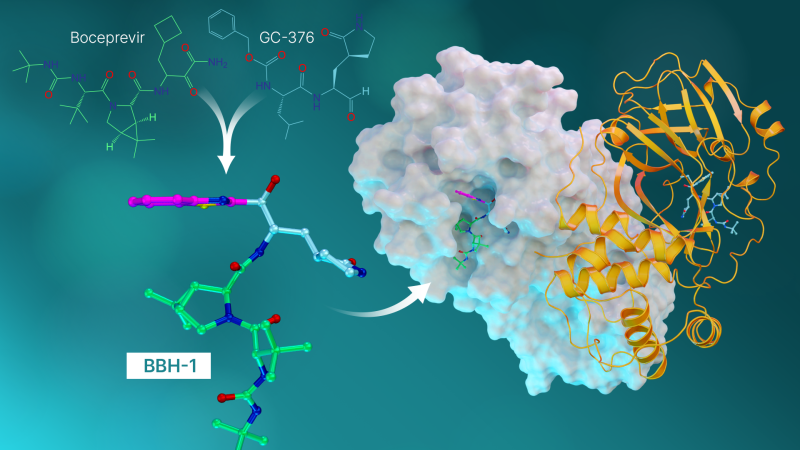 COVID-19 Research Campaign Moves From Basic Science To Antiviral Drug ...