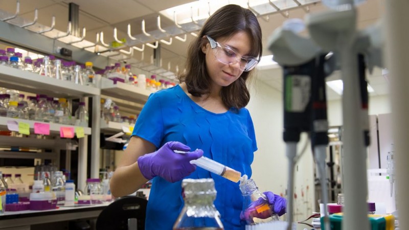 Biochemistry Ph.D. student Gabriela Schroder works at Oak Ridge National Laboratory. (Photo by Genevieve Martin)