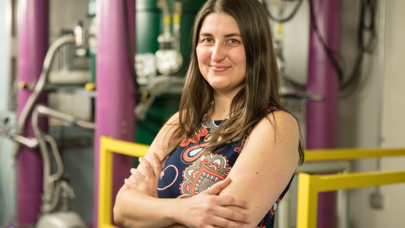 Leah Broussard leads a study of neutron decay to understand correlations between electrons and antineutrinos as well as subtle distortions in the electron energy spectrum. The physicist, who hails from Louisiana, influenced the color scheme of the experiment’s newly installed instrument to reflect her home state’s biggest celebration—its spectrometer sports Mardi Gras green on the magnet, purple on the shielding, and gold inside the magnet and on safety bars. Credit: Genevieve Martin/Oak Ridge National Labo