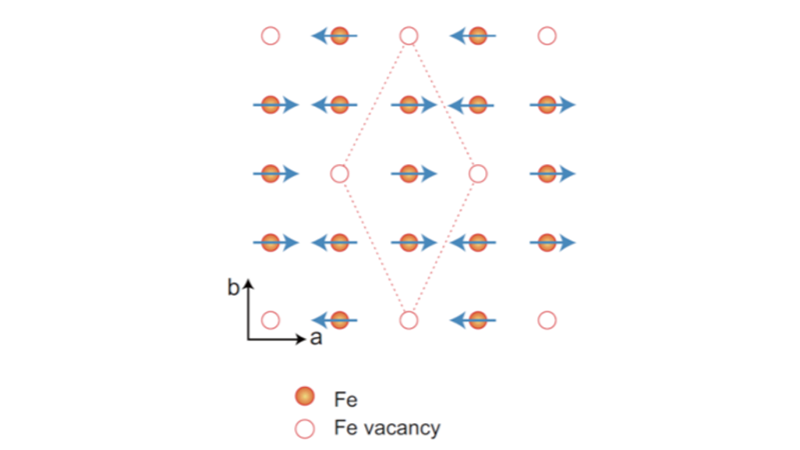 Stripe-type magnetic order and rhombus iron vacancy order