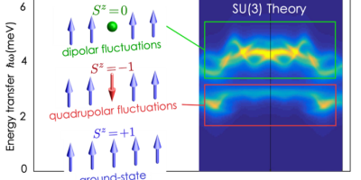 Quadrupolar Fluctuations in a Spin-1 Magnet