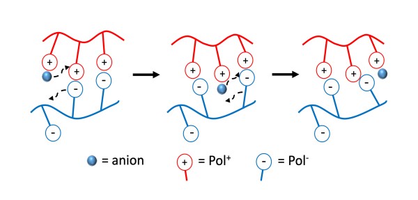 Understanding Viscosity of Entangled Polyelectrolyte Coacervates Understanding Viscosity of Entangled Polyelectrolyte Coacervates