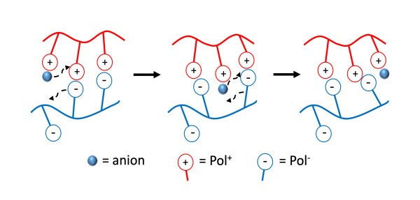 Understanding Viscosity of Entangled Polyelectrolyte Coacervates