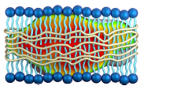 Copolymer/Lipid Nano-Assembly as Membrane Mimetic Copolymer/Lipid Nano-Assembly as Membrane Mimetic