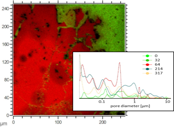 Pore Structure Determines Pathways of Rock Alteration Pore Structure Determines Pathways of Rock Alteration