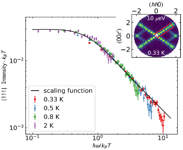 Dynamical Scaling as a Signature of Multiple Phase Competition in a Frustrated Magnet Dynamical Scaling as a Signature of Multiple Phase Competition in a Frustrated Magnet