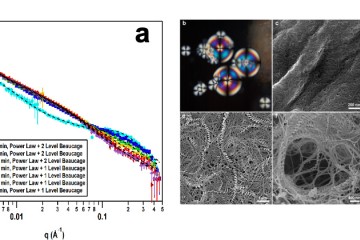 (a) SANS profiles and model fitting as a function of gelation time. (b) Polarized optical micrograph of liquid crystalline (LC) droplets. 