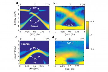 Extended Anharmonic Collapse of Phonon Dispersions in SnS